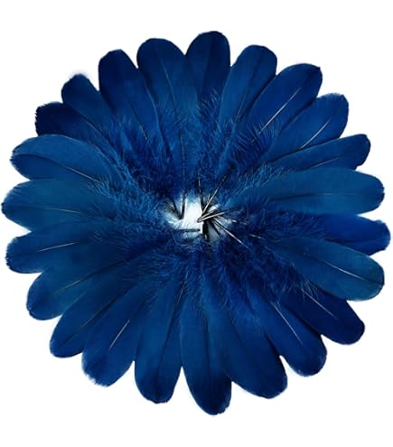 Amazon.com: Moonlight Feather | 1 Pack - Light Blue Goose