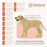 Suitical Recovery Suit Dog Large Black - Full-Body Medical Alternative view 3