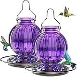 2 Pack Glass Hummingbird Feeder for Outdoors