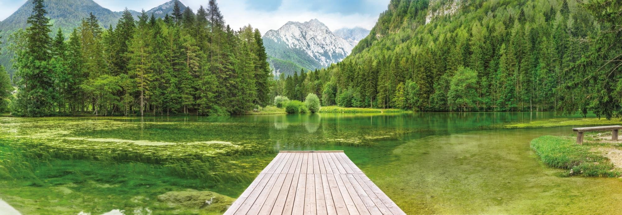 Green Lake Wall Mural