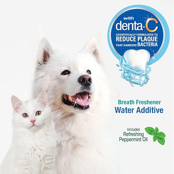 NYLABONE ADVANCED ORAL CARE PET DENTAL WATER ADDITIVE, LIQUID TARTAR REMOVER & BREATH FRESHENER FOR DOGS, DOG TEETH-CLEANING, PEPPERMINT FLAVOR, 16 OZ.