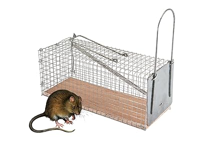 XXL Lebendfalle Rattenfalle Maderfalle Falle Kastenfalle lebend Käfigfalle Tierfalle Mausefalle für Maus, Ratte, Mader UVM. D