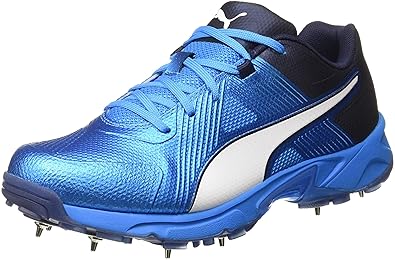 puma cricket spikes 2019