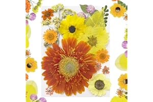 MUCBAFLY Dried Pressed Flowers for Resin, Real Pressed Flowers Dry Leaves Bulk Natural Herbs Kit for Scrapbooking DIY Art Crafts, Nails Décor, Epoxy Resin Jewelry, Candle, Soap Making (Orange)