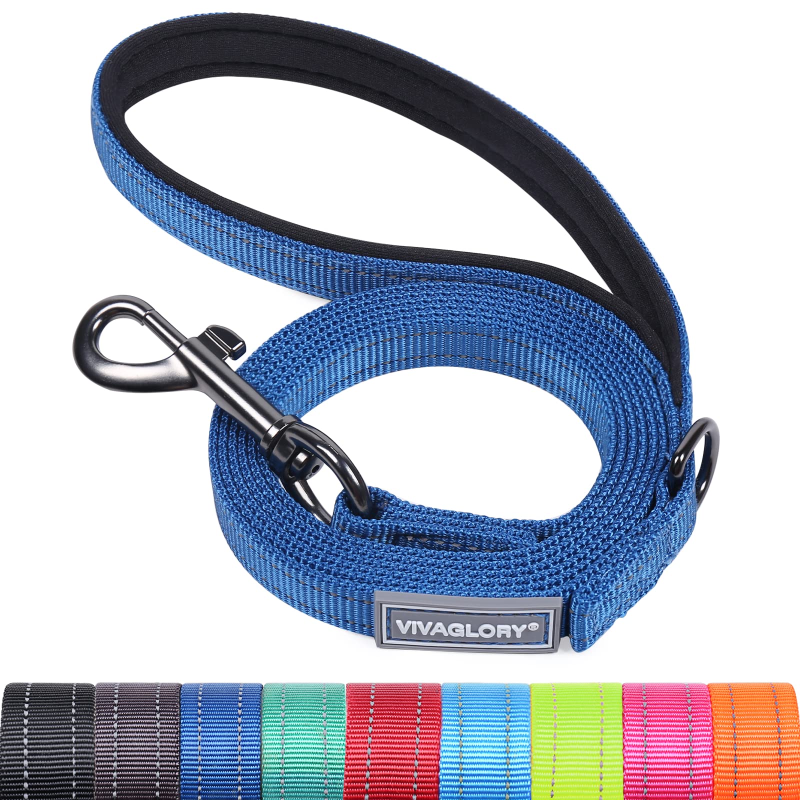 VIVAGLORY Dog Lead Dailyx Dog Leash, Lead with Soft Padded Handle for Training & Walking, Heavy Duty & Double Layer Nylon for Pet Puppy, 90 x 1.4cm, Blue