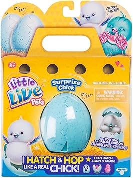 little live pets pollito