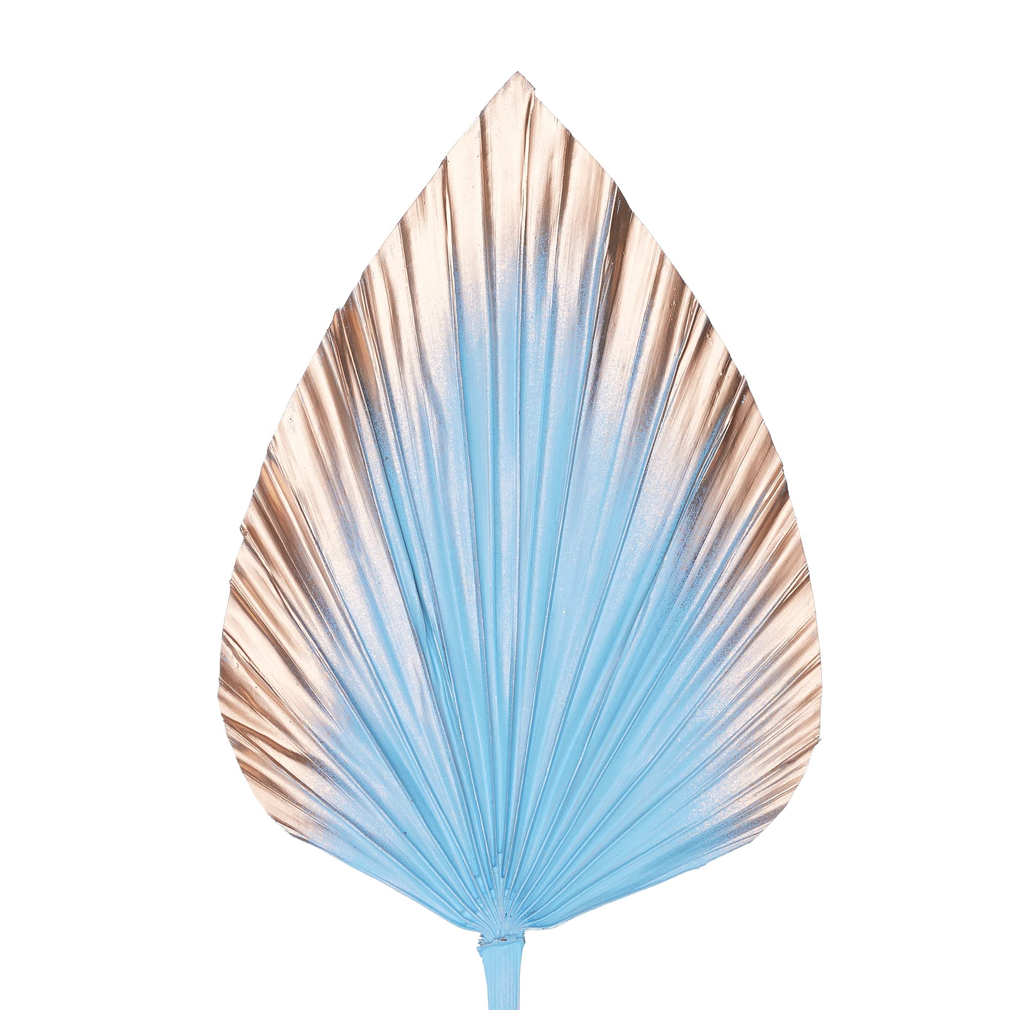 The Baked Studio - Dried Palm Leaf Leaves Palm Spear Cake Topper for Cake Decoration (Light Blue & Gold Ombre)