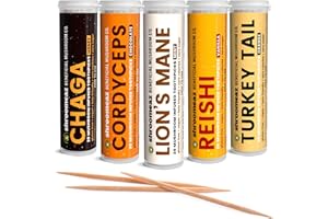 XERO PICKS Shroomeaz Mushroom Supplement Infused Flavored Toothpicks (100 Picks - 5 Pack - Variety- Vanilla, Honey, Chocolate, Orange, Mint)