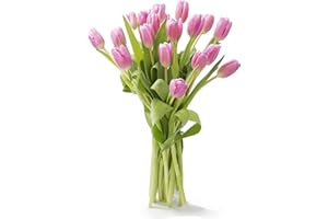 KaBloom PRIME NEXT DAY DELIVERY - Bouquet of 20 Pink TulipDirect Fresh.Gift for Birthday, Sympathy, Anniversary, Get Well, Thank You, Valentine, Mother’s Day Fresh Flowers