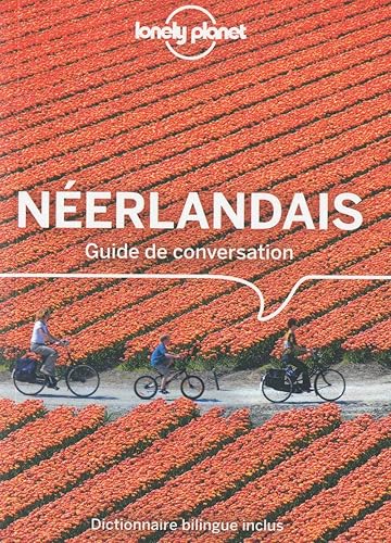 Download Guide de conversation Néerlandais - 6ed PDF