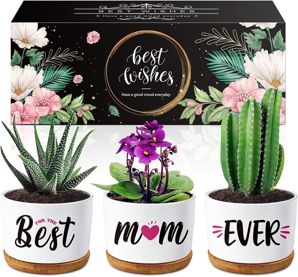 Buioata Mum Gifts Succulent Plant Pots Set of 3 Home Decor