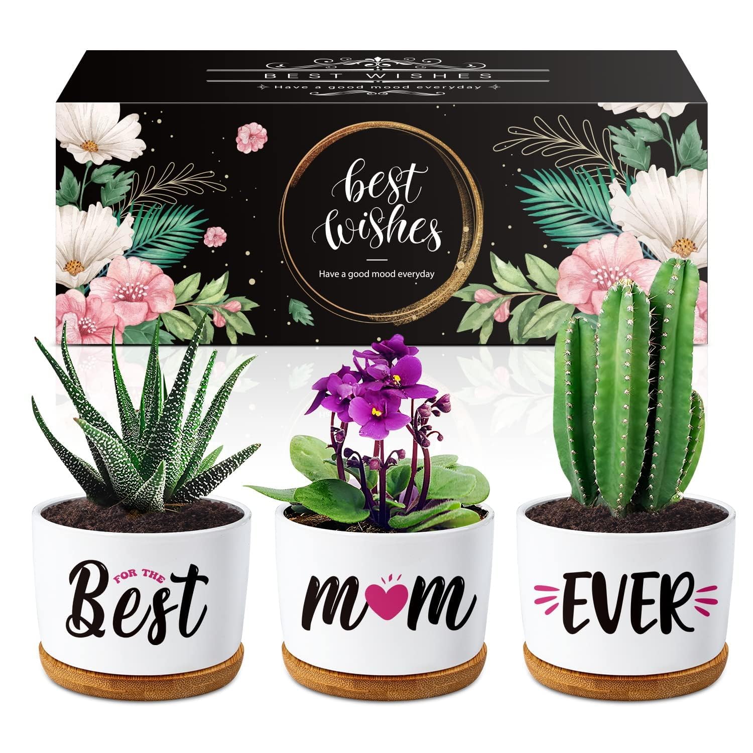 Buioata Mum Gifts from Daughter Son, Birthday Gifts for Mum on Her Birthday - Succulent Planters Best Mum Ever - Mummy Gifts for Mummy, Best Mothers Day Presents for Mum from Kids
