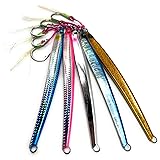 Capt Jay Fishing Saltwater jigs Speed Jigging Slow