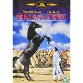 The Black Stallion Returns