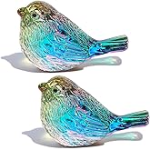 Arikyrist Crystal Birds 2Pcs Gifts for Women Men Bird Lovers Glass Bird Handmade Animal Figurines Home Tabletop Office Decoration (Multicolor)
