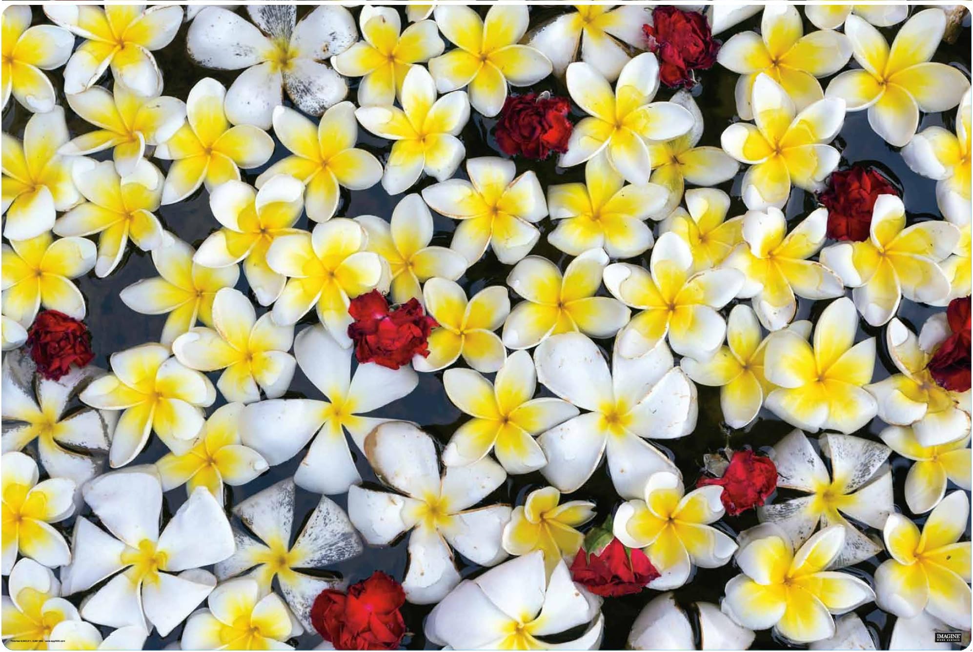 IMAGINE WORK SURFACE Huge Ultra-Thin 24" x 36" Non-Slip Desk Pad Made in USA - Floating Flowers