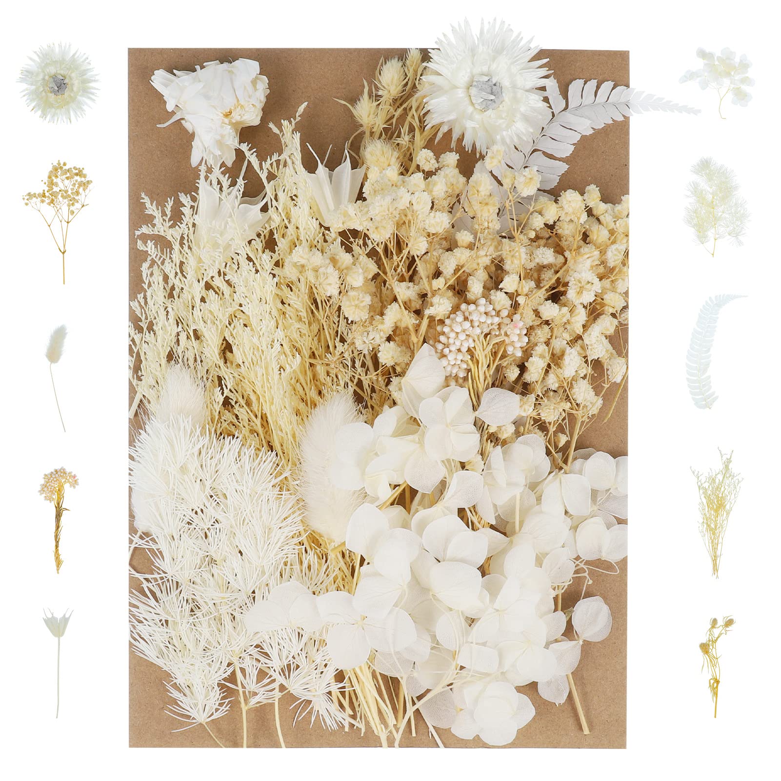 Pinenuts Real Dried Pressed Flowers, Mixed Multiple Natural Flowers Leaves, Floral Art Home Decoration for DIY Resin Pendant, Candle Making and Nail Jewelry Crafts(White)
