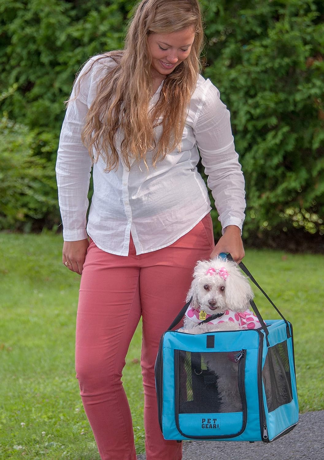 Pet Gear Signature Pet Car Seat & Carrier for Cats and Dogs up to 20-pounds, Aqua : Automotive Pet Safety Products : Pet Supplies