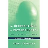 The Neuroscience of Psychotherapy: Healing the Social Brain (Third Edition) (Norton Series on Interpersonal Neurobiology)