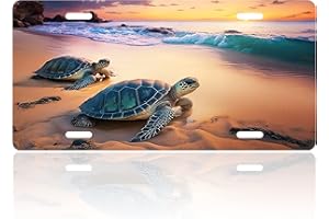 RTINRAN Sea Turtles License Plate Beach Turtle Animal License Plate Funny for Car Decoration Vanity Tag Stainless Steel Fits Any Standard Us License Plate Holder 6.2" X12.2 Inch for Women Men