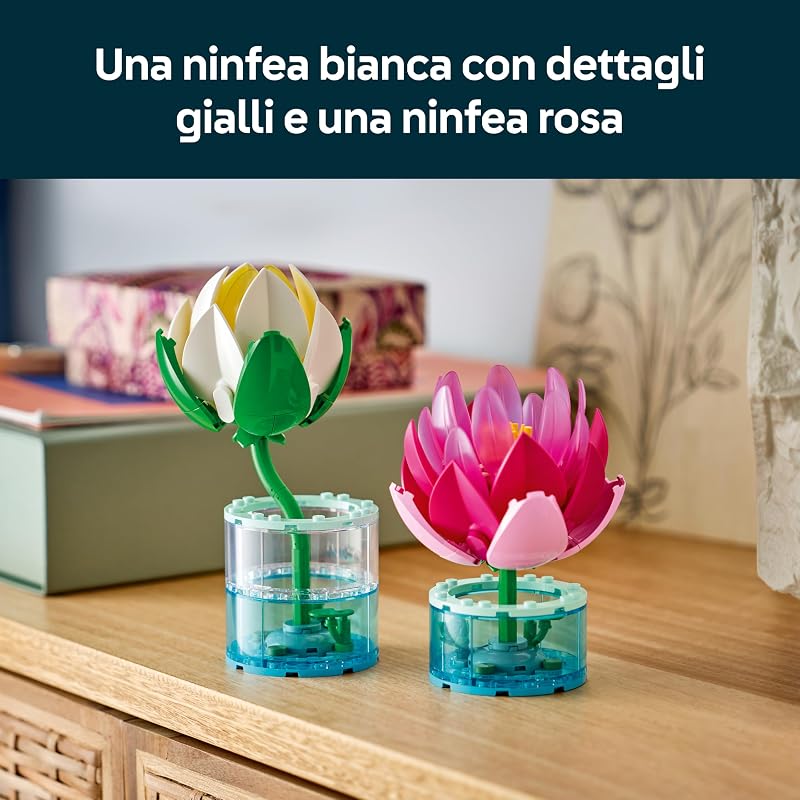 Botanicals Ninfee 11511