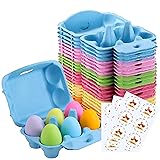 Half Dozen Egg Cartons 36 Pack, Colorful Blank