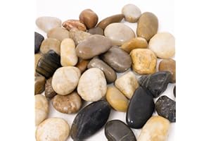 BIOTOLOT 8LB 2"-3" Decorative River Rocks for Plants, Polished Pebbles Stones for Garden Landscaping, Planters,Aquarium,Vase fillers, Indoor & Outdoor Decor