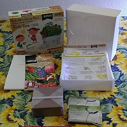 Huerto Urbano - Seed Box Kids - Batlle: Amazon.es: Jardín