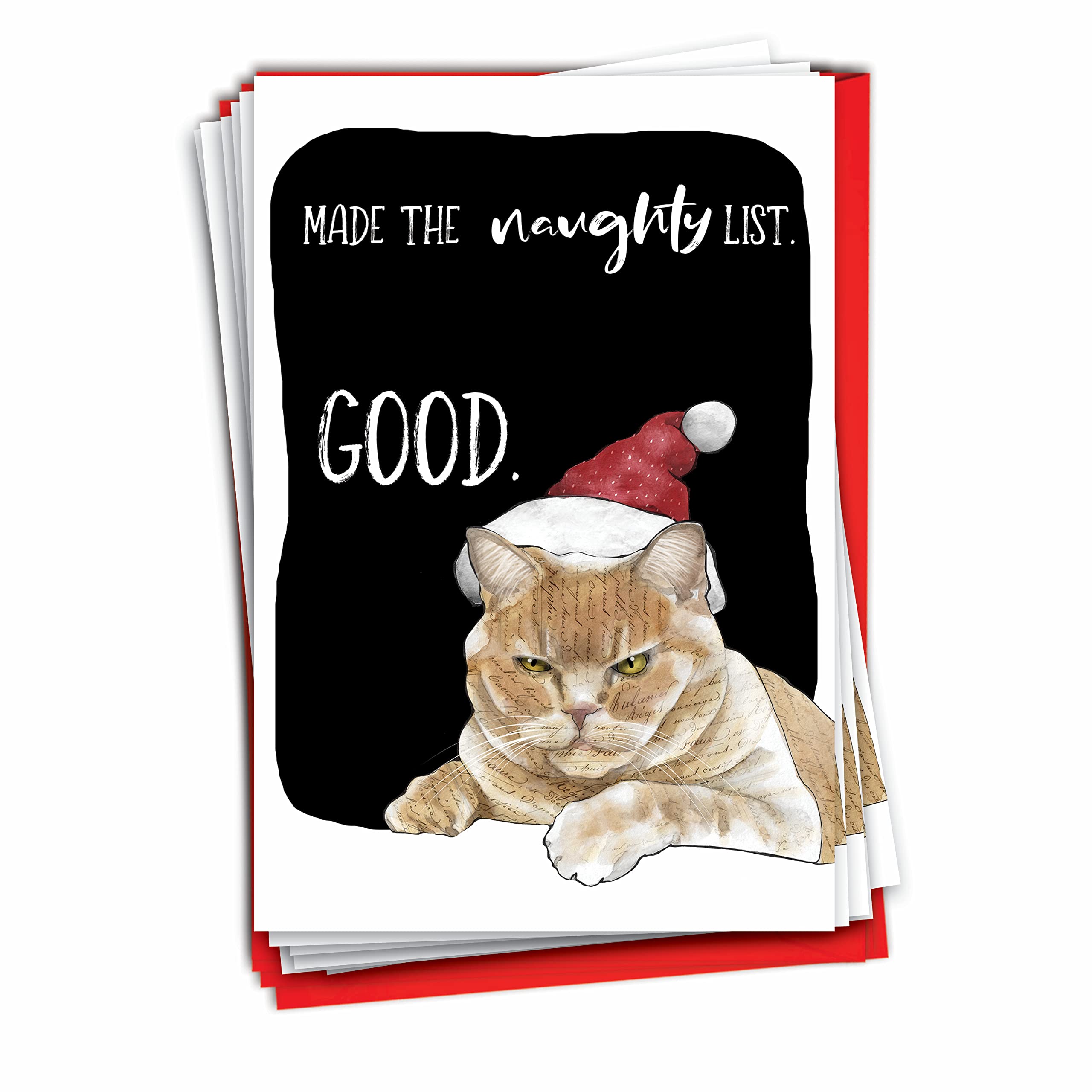 NobleWorks - 12 Funny Animal Christmas Cards - Pet Holiday Humor, Bulk Boxed Notecards with Envelopes (1 Design, 12 Cards) - Cat Naughty List C3481XSG-B12x1