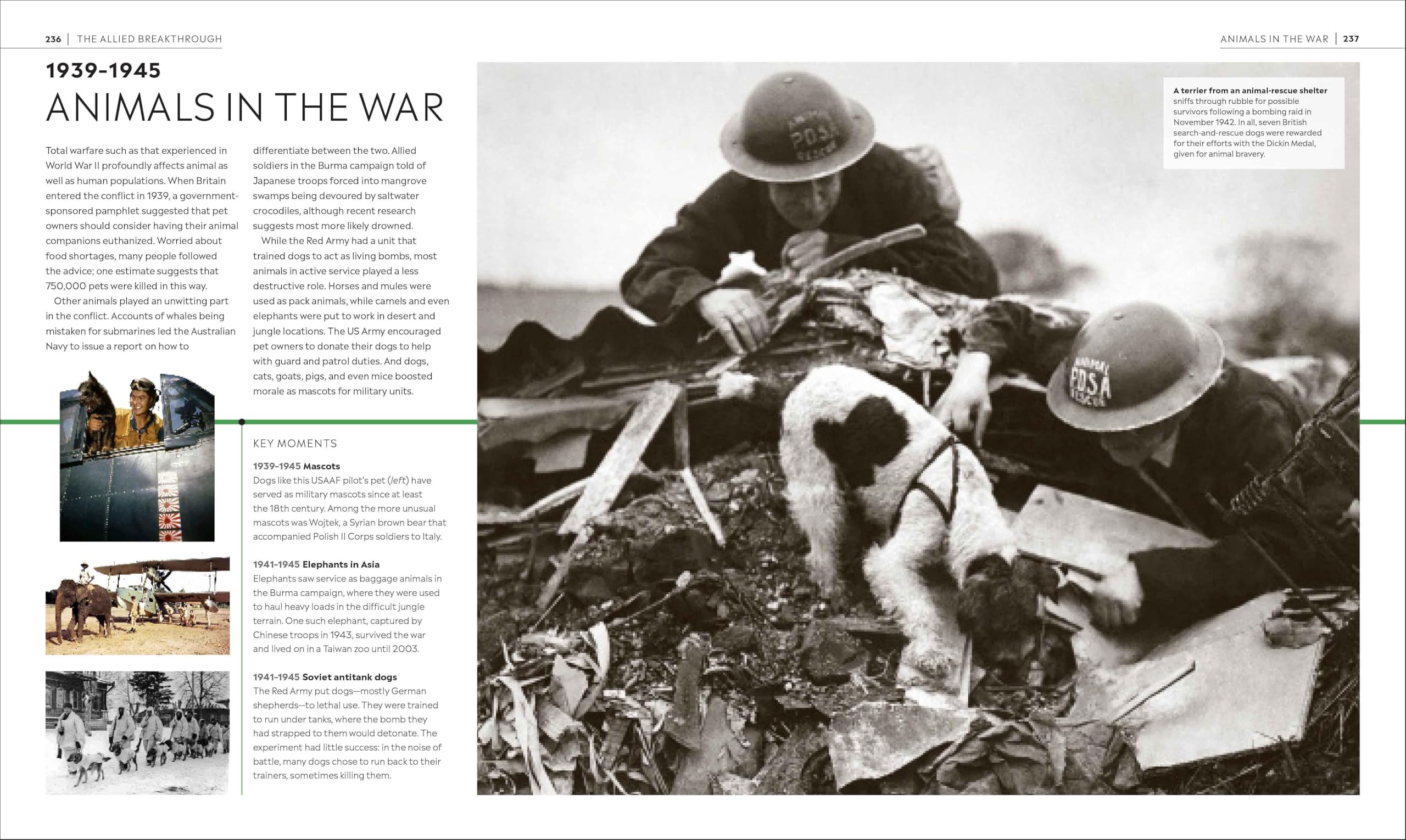 Timelines of World War II (DK Timelines) Timelines of World War II (DK Timelines) Hardcover Kindle