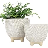 LA JOLIE MUSE Ceramic Plant Pots, Flower Pots for Indoor Plants, Set of 2 | 6.7+5.1 Inch Boho Decorative Footed Planter Pot w