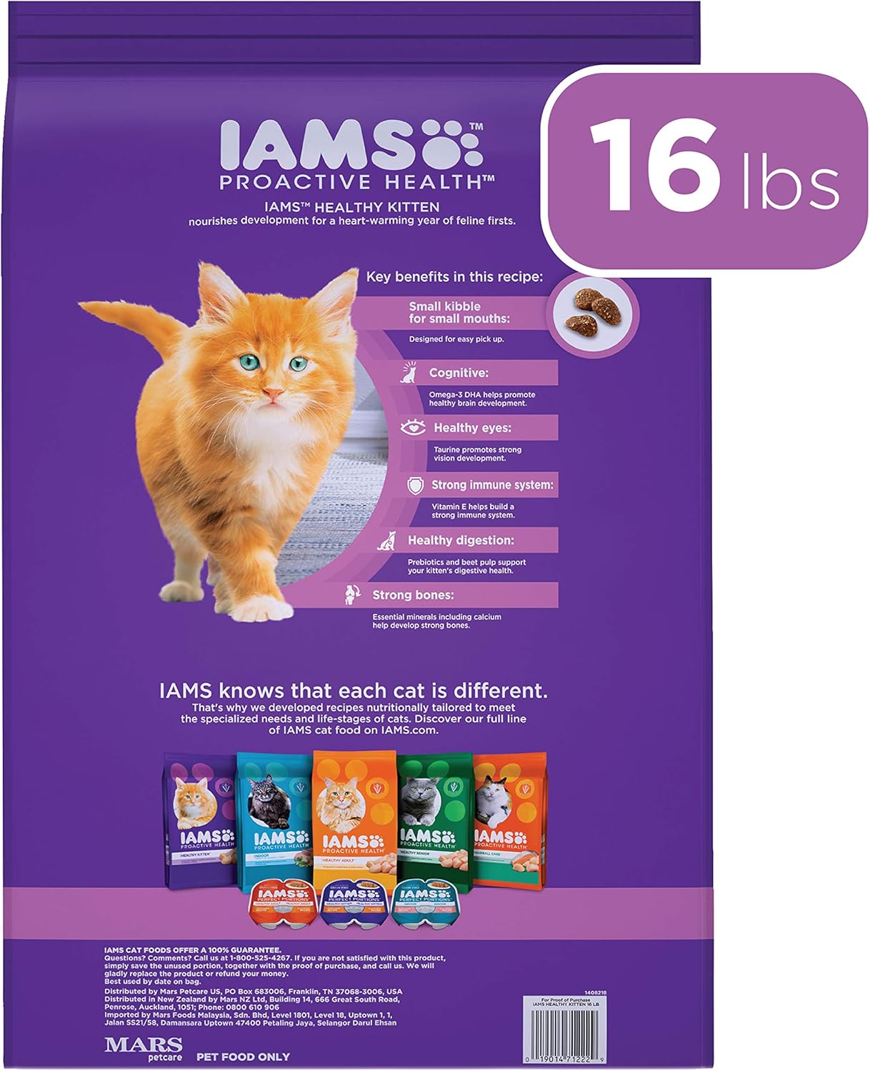 best kitten iams proactive health dry kitten food