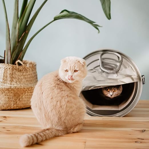 amazon cat scratcher cardboard