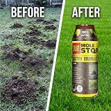 Defenders The Big Cheese Mole Scatter Granules 450g - 45m2 Deterrent view 2