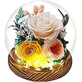ERYRYIREI Preserved Real Rose Gifts for Her- Forever Champagne Rose in Glass Dome with LED for Women Mom Girlfriend Grandma Wife Birthday Mother's Day Christmas Valentines Day Gifts