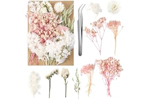 AURORAY Real Dried Flowers, Natural Dry Flowers Mixed Natural Pressed Flowers Flores Secas Dried Florals for Crafts,Resin,Candle Making (Pink and White)