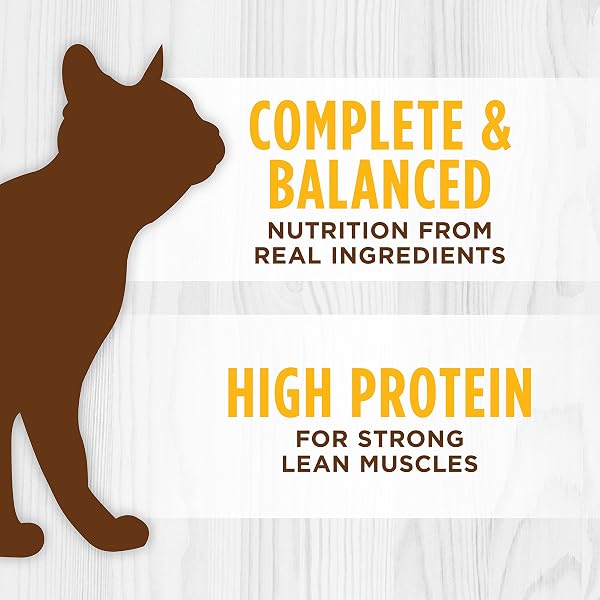 INSTINCT ORIGINAL PATE WET CAT FOOD, GRAIN FREE RECIPE – REAL CHICKEN, 3 OUNCE (PACK OF 24)
