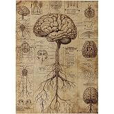 MA6GE8DE Vintage Puzzle 500 Piece Guides to Understanding The Human Brain,Classic Teaching Wooden Puzzle Game,Unique and Beautiful Design,Puzzles Suitable for Entertaining with Family During Holidays