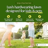 Lawn UK Sprogs & Dogs Grass Seed 500g Fast Growing 15sqm Coverage view 2