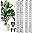 60"/40"/24" Metal Moss Pole, D Shape Sphagnum Moss Pole, Moss Poles for Climbing Plants, Moss Pole for Plants Monstera, Indoor Climbing Plants, Moss Poles Kit (4Pcs 60")
