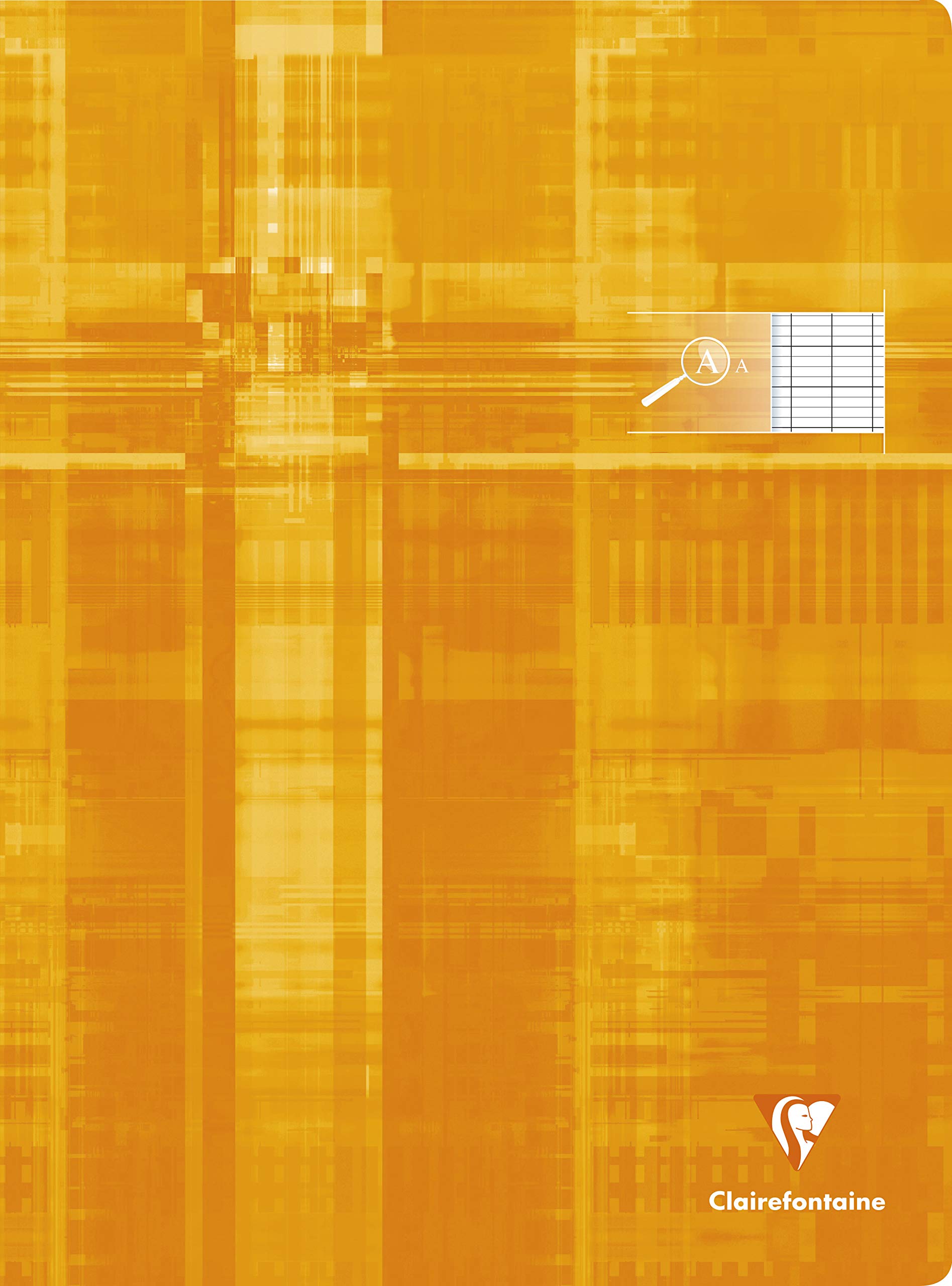 Clairefontaine 63196C Set of 10 Stapled Notebooks for the Visually Impaired 24x32 - 48 Pages, Seyes 2.5mm Enlarged - White Paper 90g - Card Cover Random Colour