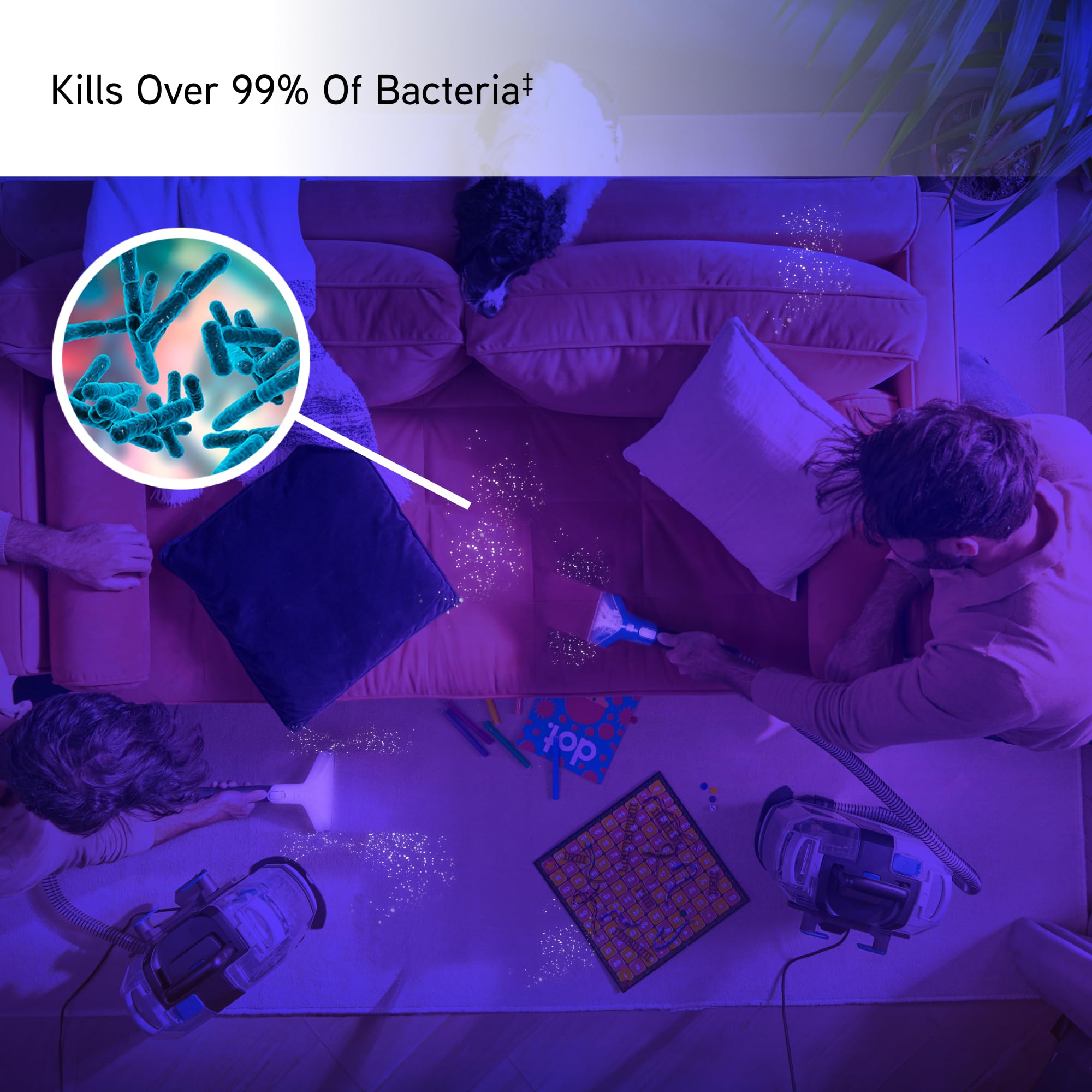 Vax SpotWash Max Pet-Design Spot Cleaner, Carpet Cleaner Machine, Upholstery and Sofa Cleaning, XL Tanks, Motorised, Crevice & Pet Tools for Spills & Stains, Included Solution, White/Blue, CDSW-MPXP