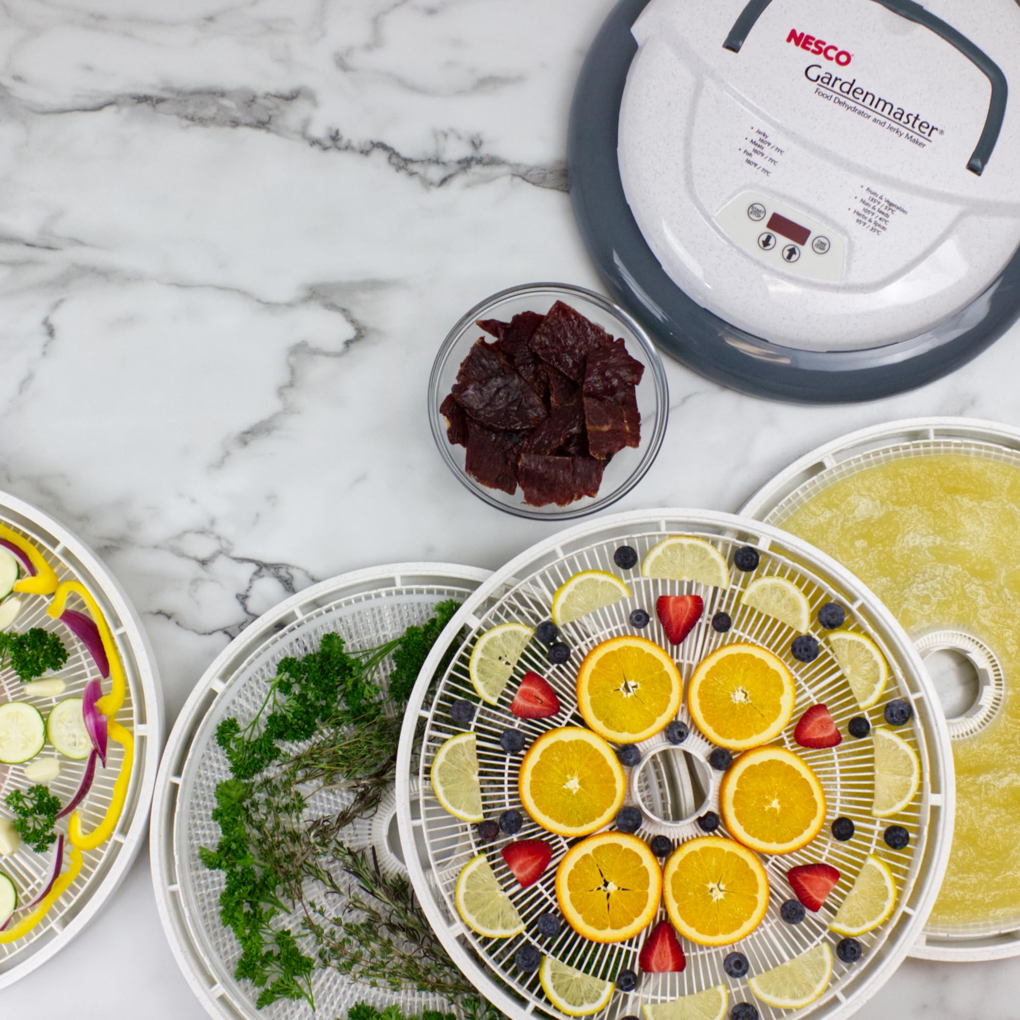Nesco FD-1040 Gardenmaster Digital Pro Food Dehydrator, for Beef Jerky, Fruit, Herbs, and Snacks, 4 Trays, White