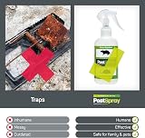 EFA International Mouse Pest Spray Peppermint Oil Humane indoor outdoor view 4