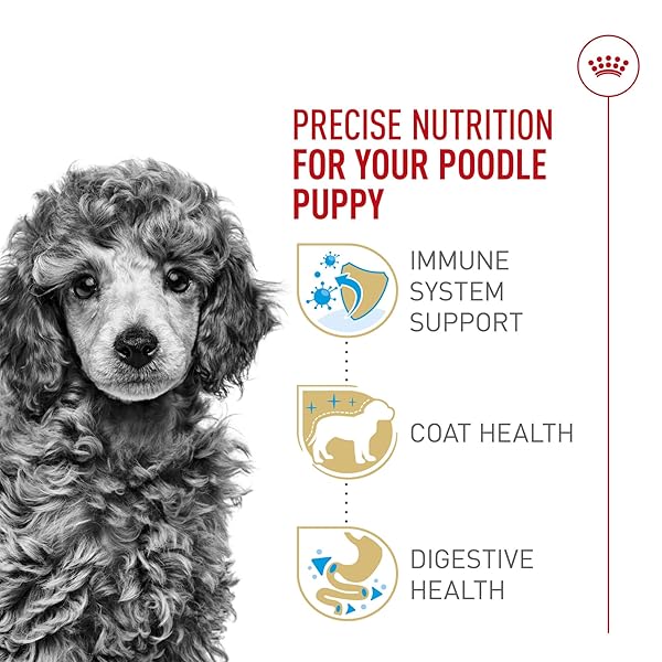 ROYAL CANIN BREED HEALTH NUTRITION POODLE PUPPY DRY DOG FOOD, 2.5 LB BAG