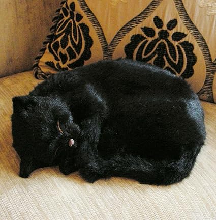 Ebene Realiste La Vie De Couchage Taille Chat Noir En Peluche Synthetique Lucky Faux Pour Chat Amazon Fr Cuisine Maison