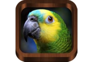 Bird Calls - Bird Guide with 2000+ Bird Songs & Sounds (Mobile, Tablets)