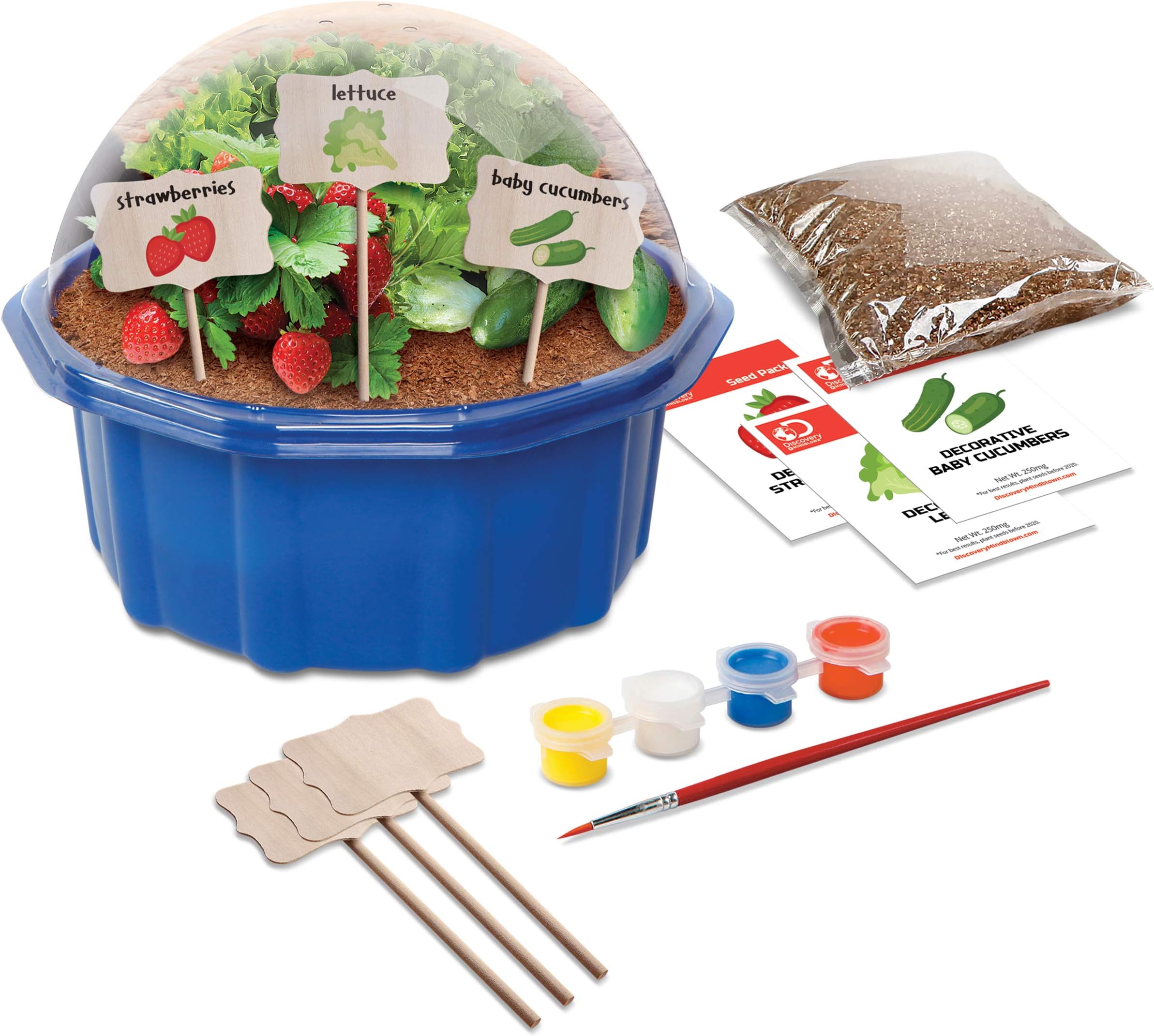 Discovery Kids #MINDBLOWN DIY Farmers Garden Paint & Grow Greenhouse, Plant Real Decorative Fruits & Veggies, Includes Vermiculite, Seeds, Paint, Brush, Signs, Bowl – Fun STEM Toy Gift for Children