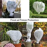 Muzhira Garden Fleece 30gsm 2.5m x 7.5m Frost Protection Fabric view 5