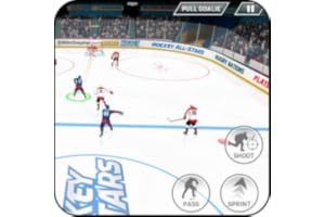 Ultimate Ice Hockey 3D